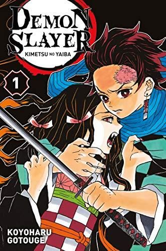 Demon Slayer : Kimetsu no Yaiba T.01