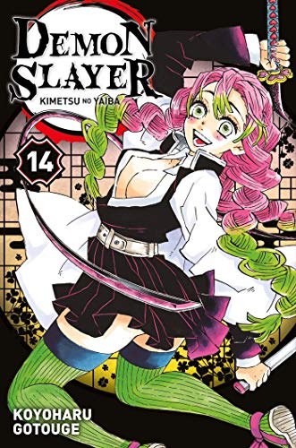 Demon Slayer : Kimetsu no Yaiba T.14 : Demon slayer