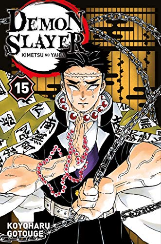 Demon Slayer : Kimetsu no Yaiba T.15 : Demon slayer