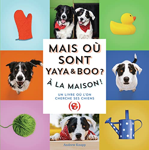 Mais où est Momo ? : Mais où sont Yaya & Boo ?