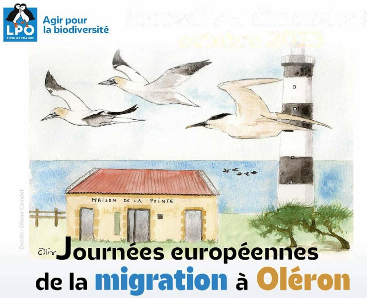 EurobirdwatchOleron